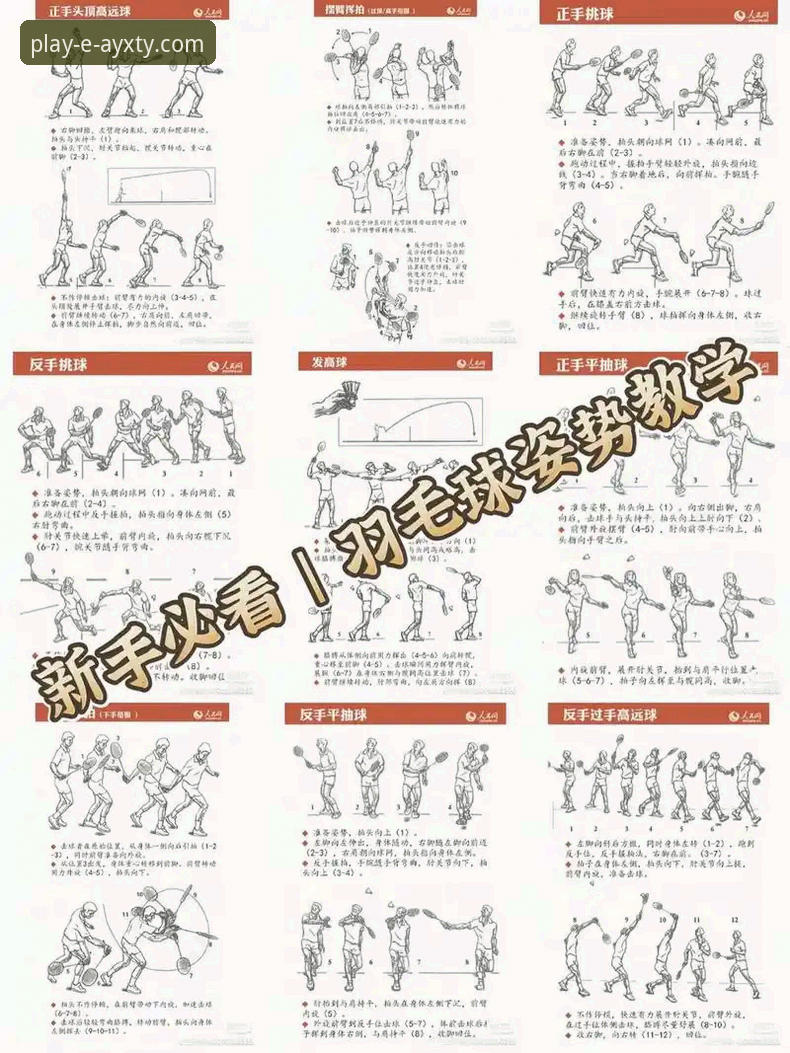 揭秘爱游戏体育安装教程：新手也能轻松上手的完整指南，这些细节你不知道的事